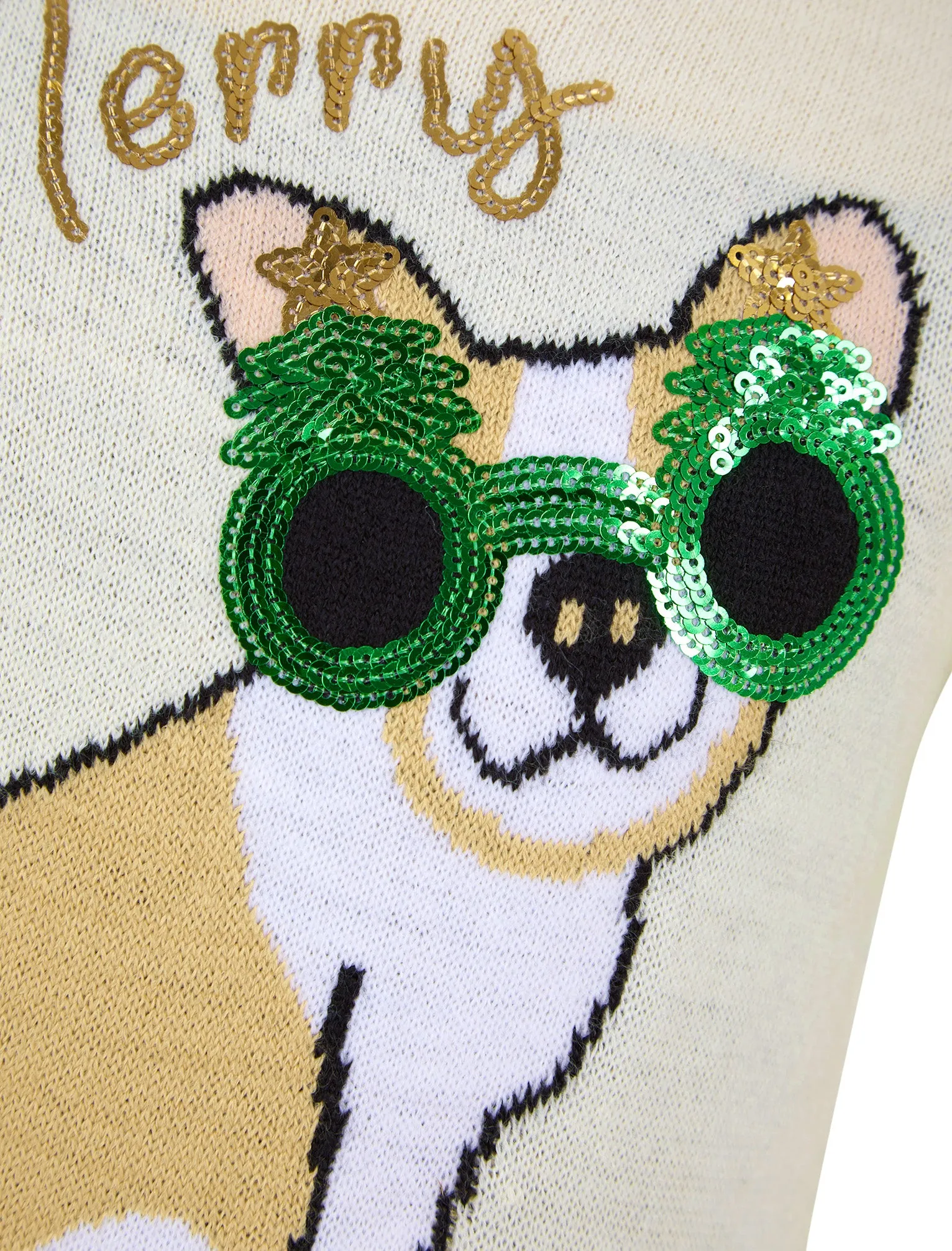 Girl's Glasses Dog Novelty Sequinned Christmas Jumper in Gardenia - Merry Christmas Kids (4-12yrs)