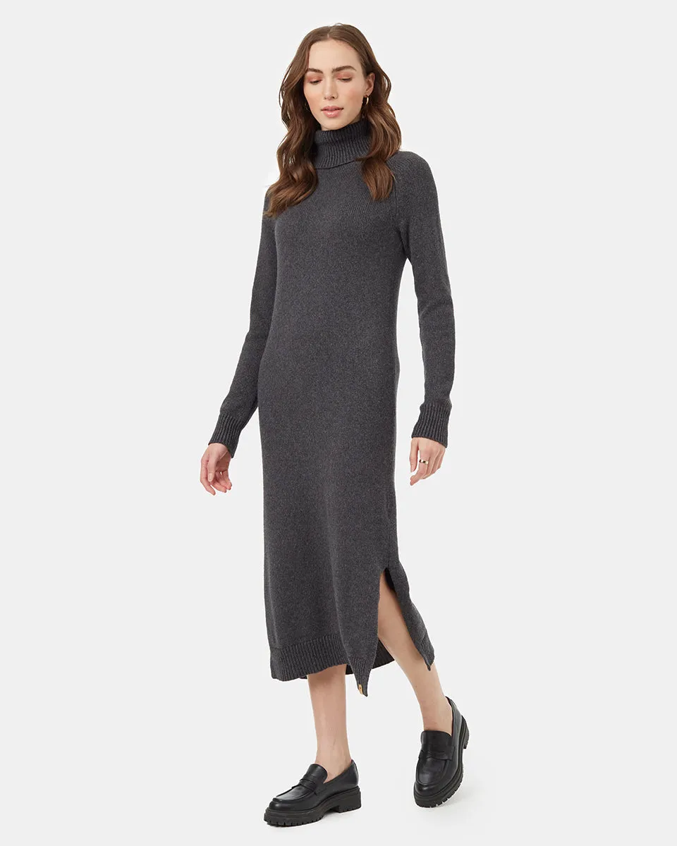 Highline Turtleneck Maxi Dress