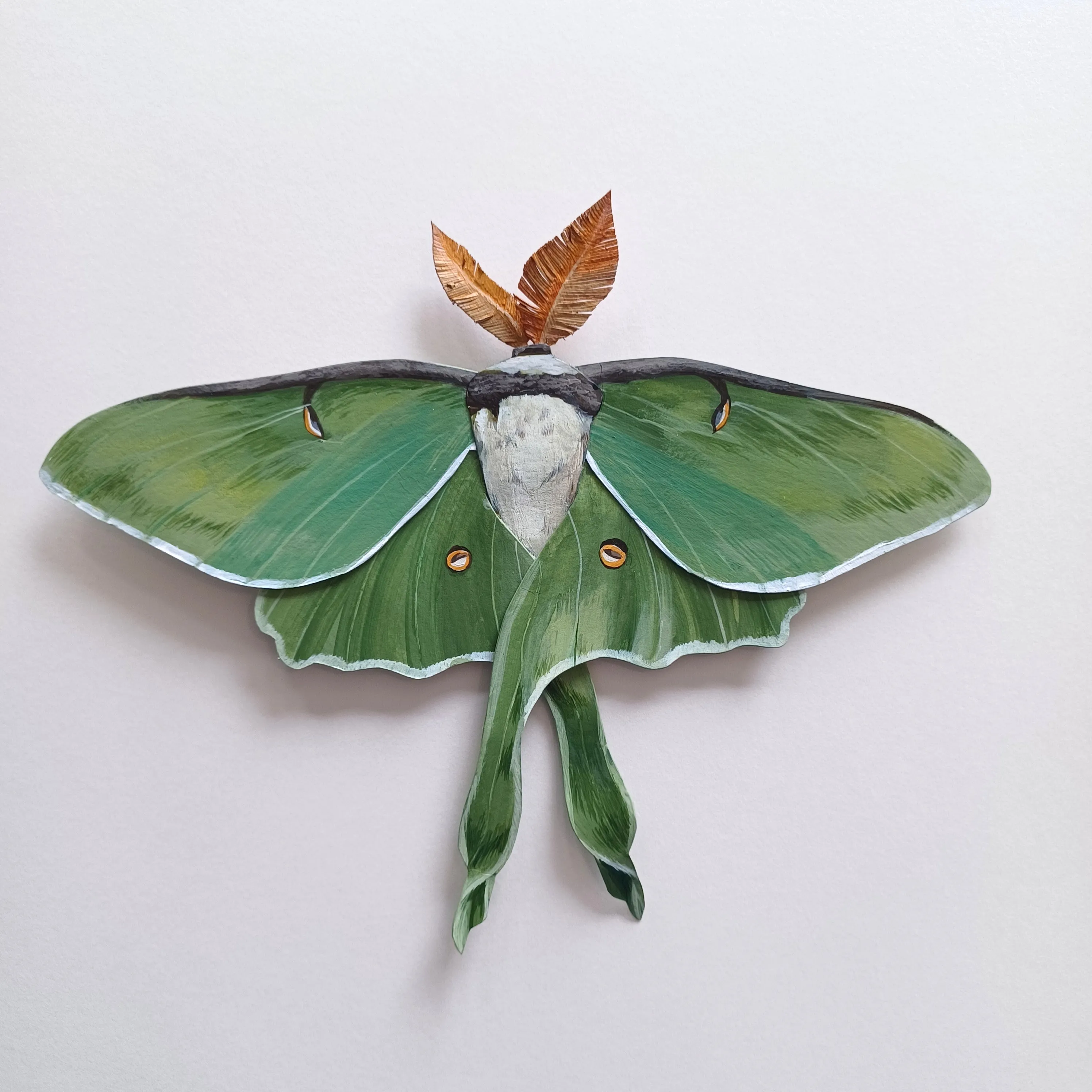 Luna Moth framed painted paper sculpture