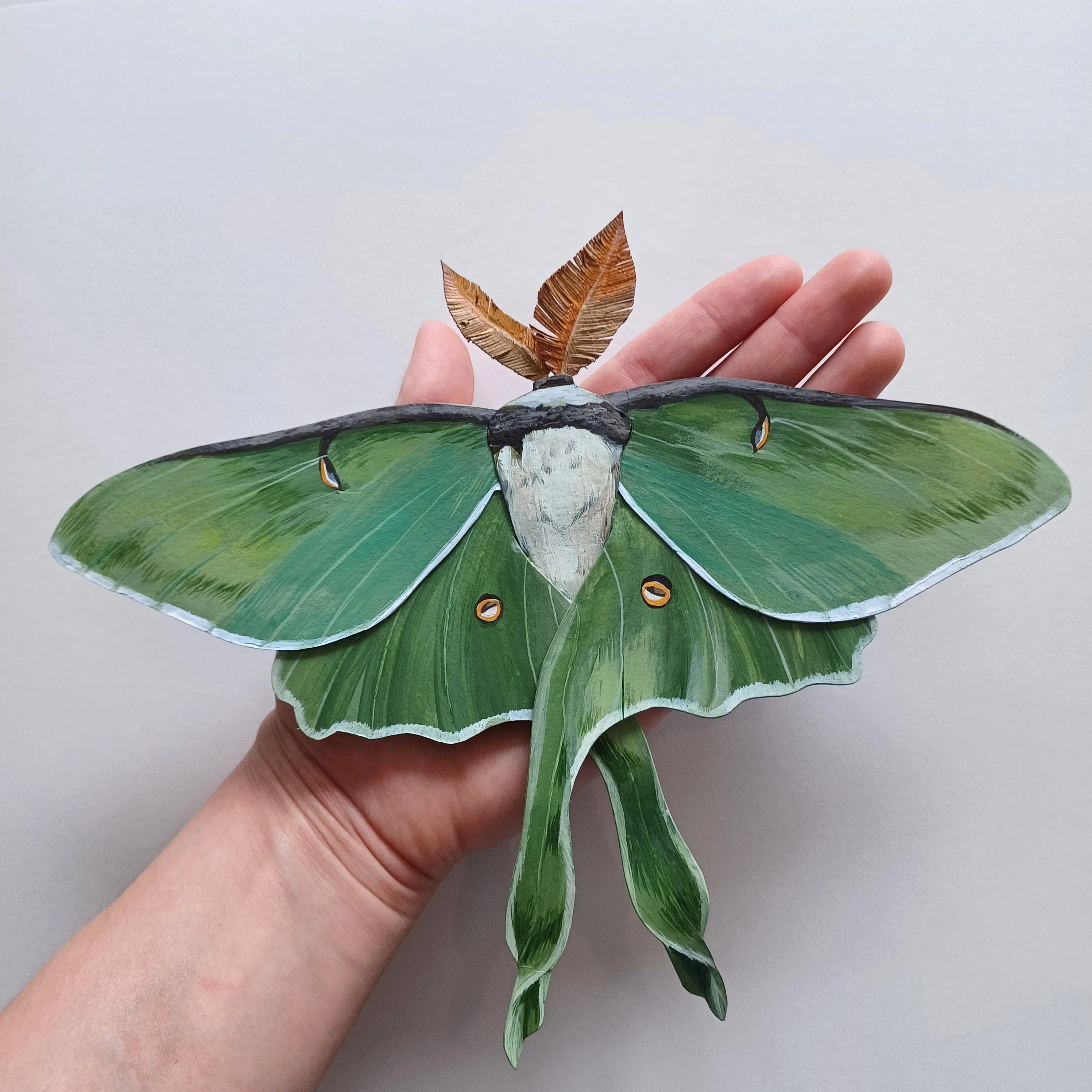 Luna Moth framed painted paper sculpture