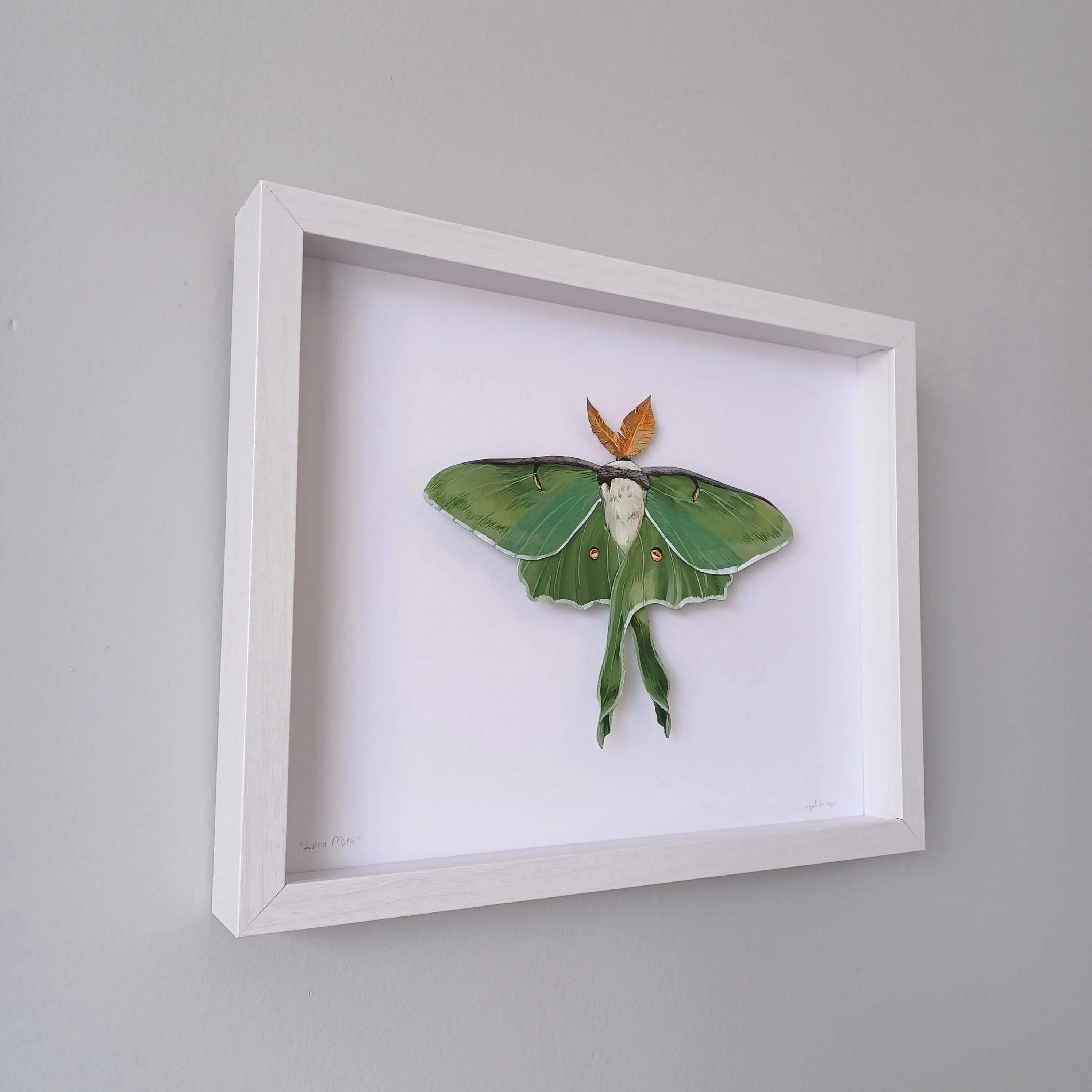 Luna Moth framed painted paper sculpture