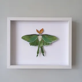 Luna Moth framed painted paper sculpture