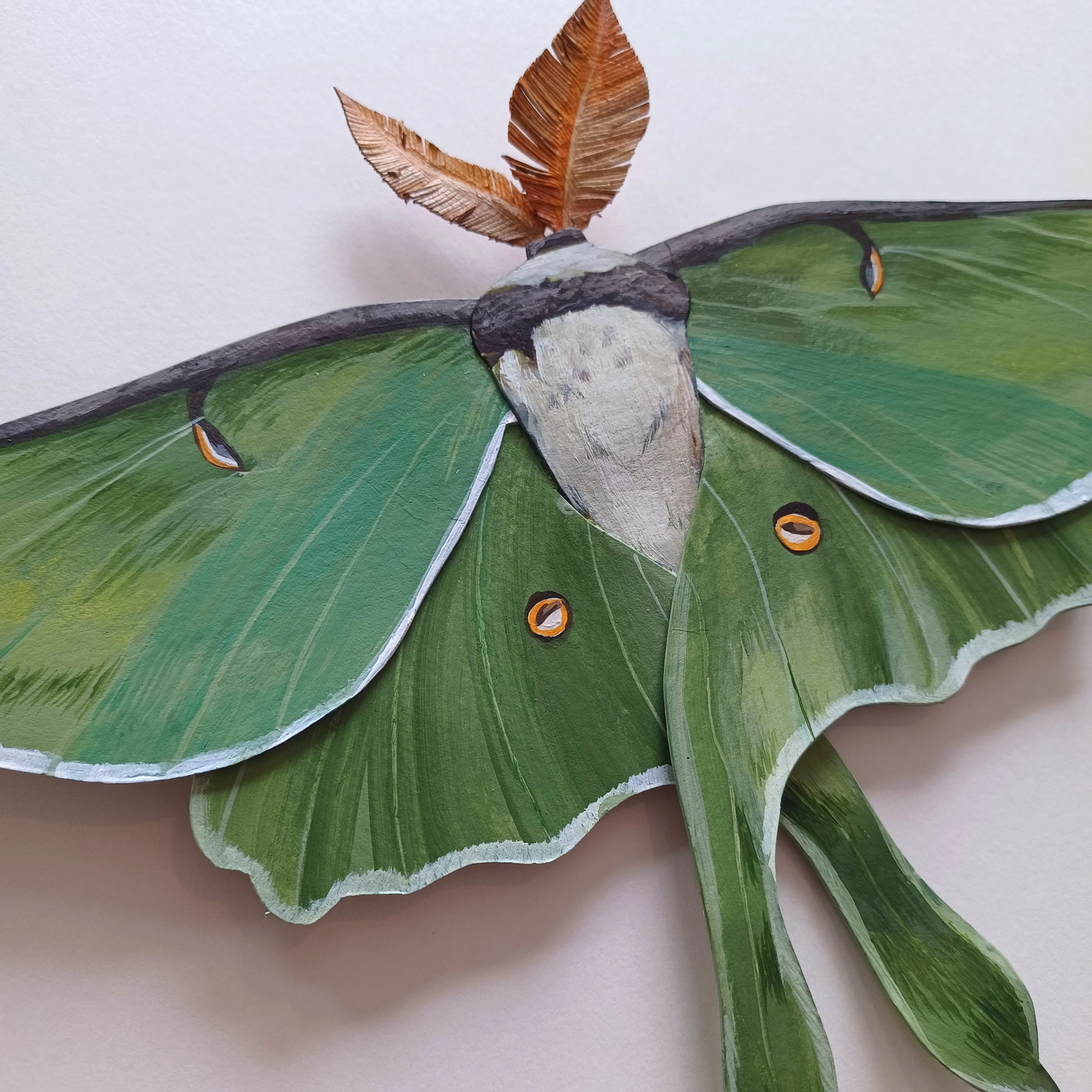 Luna Moth framed painted paper sculpture